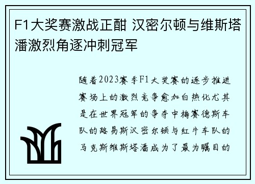 F1大奖赛激战正酣 汉密尔顿与维斯塔潘激烈角逐冲刺冠军