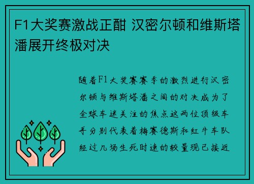 F1大奖赛激战正酣 汉密尔顿和维斯塔潘展开终极对决