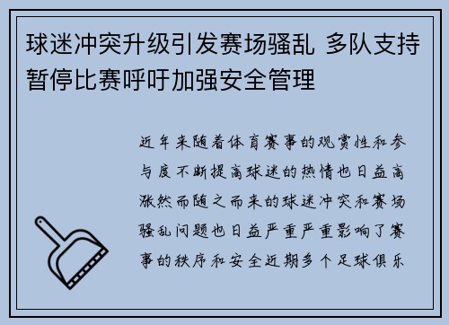 球迷冲突升级引发赛场骚乱 多队支持暂停比赛呼吁加强安全管理